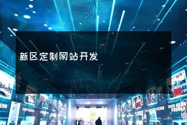 新区定制网站开发