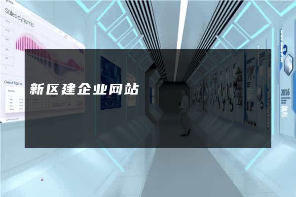 新区建企业网站