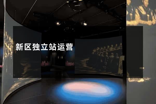 新区独立站运营