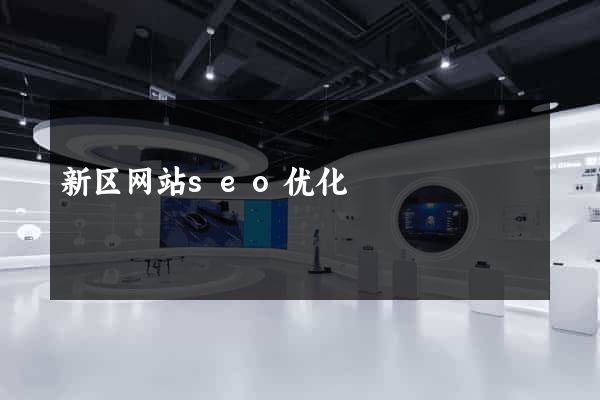 新区网站seo优化