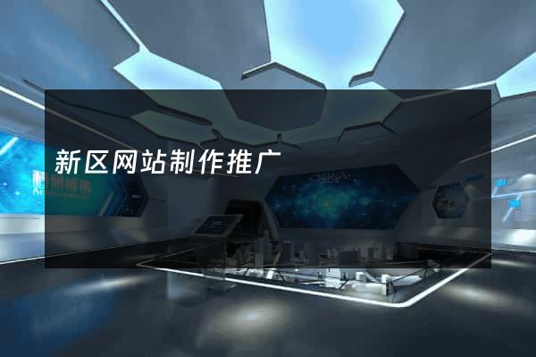 新区网站制作推广