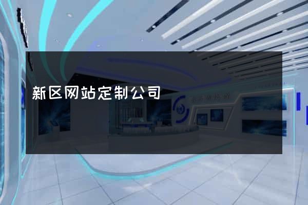 新区网站定制公司
