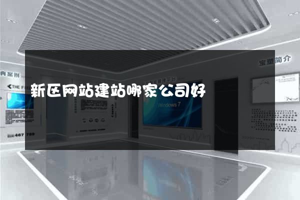新区网站建站哪家公司好