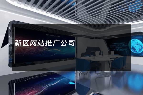 新区网站推广公司