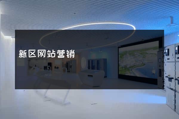 新区网站营销