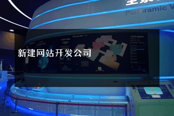 新建网站开发公司