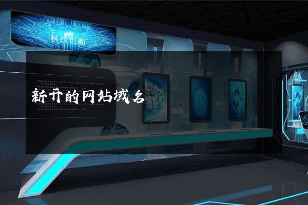 新开的网站域名