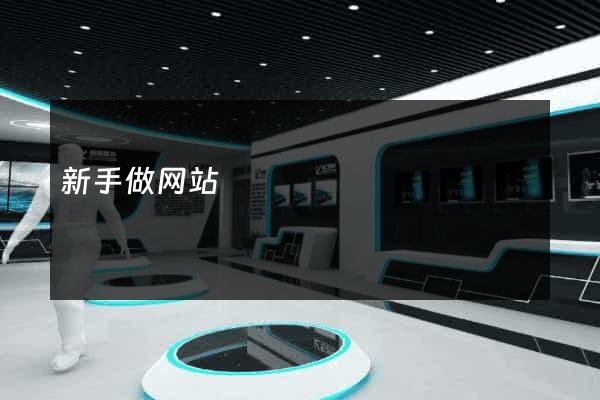 新手做网站