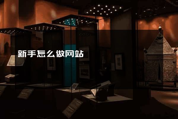 新手怎么做网站