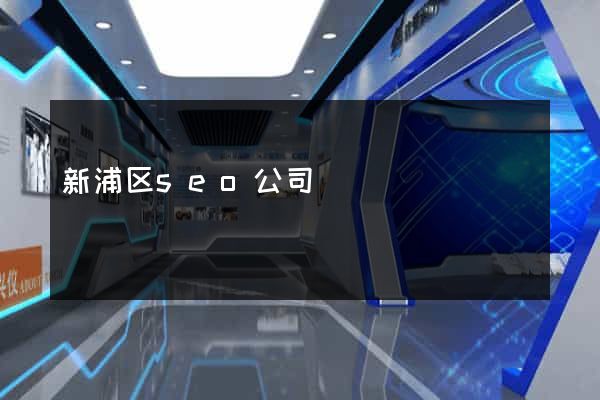 新浦区seo公司