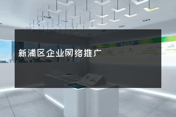 新浦区企业网络推广