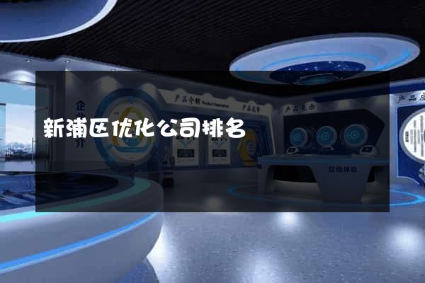 新浦区优化公司排名