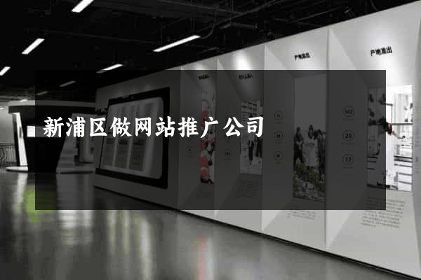 新浦区做网站推广公司
