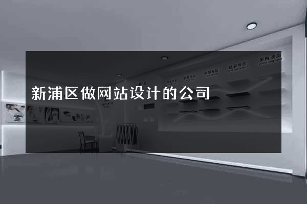 新浦区做网站设计的公司