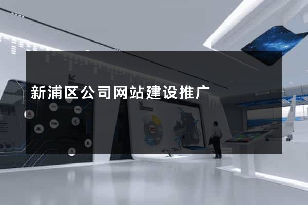 新浦区公司网站建设推广
