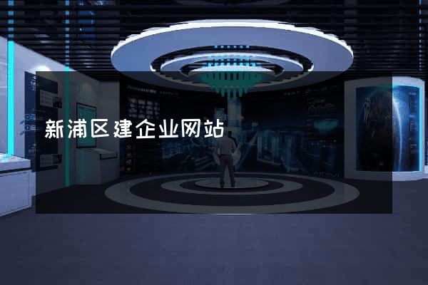 新浦区建企业网站