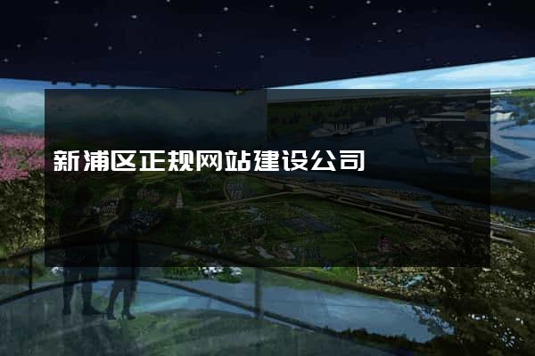 新浦区正规网站建设公司