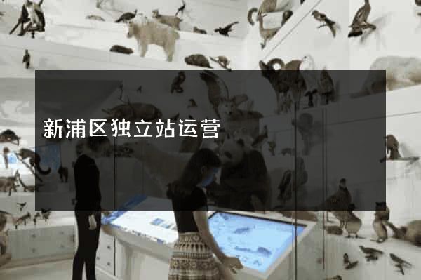 新浦区独立站运营
