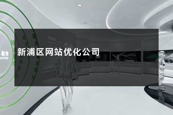 新浦区网站优化公司