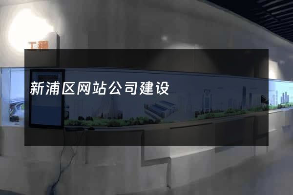 新浦区网站公司建设