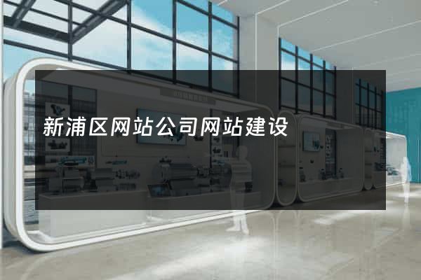 新浦区网站公司网站建设