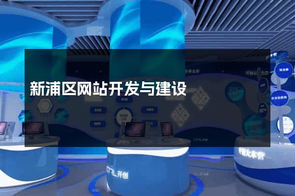 新浦区网站开发与建设