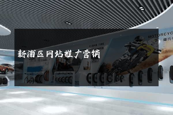 新浦区网站推广营销