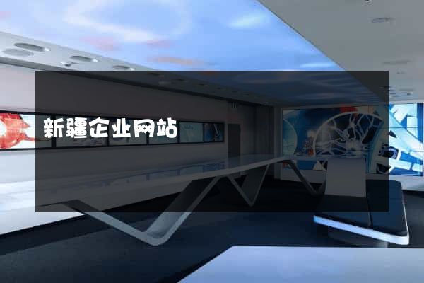 新疆企业网站