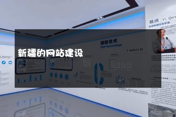 新疆的网站建设