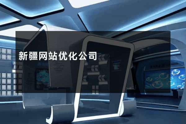 新疆网站优化公司