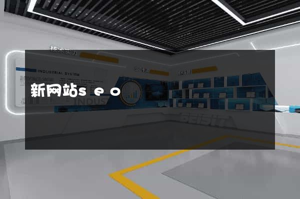 新网站seo