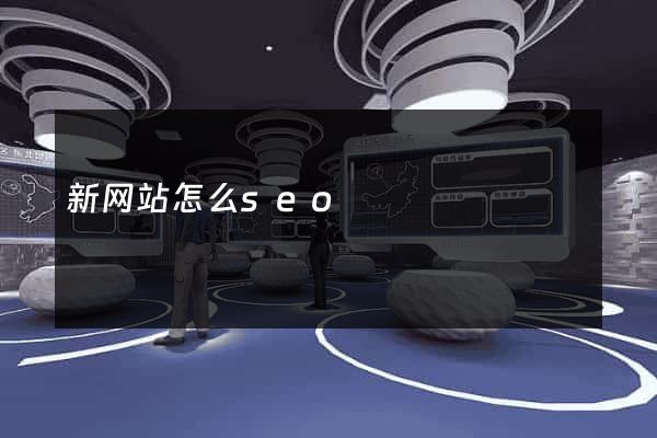 新网站怎么seo