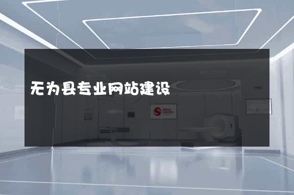 无为县专业网站建设