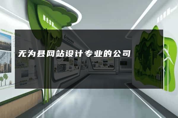 无为县网站设计专业的公司