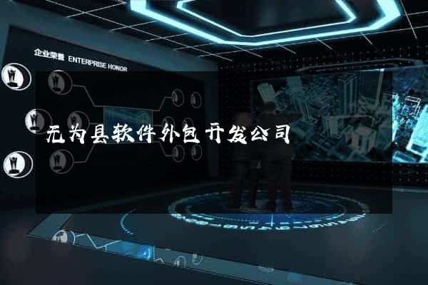 无为县软件外包开发公司