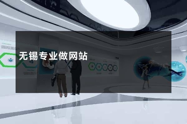 无锡专业做网站