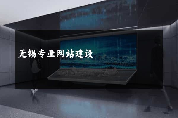 无锡专业网站建设