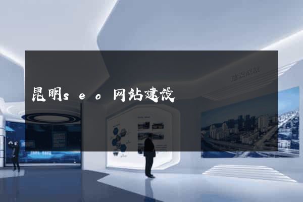 昆明seo网站建设