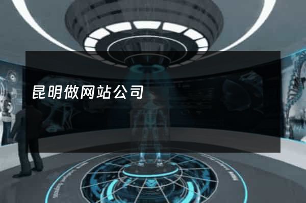 昆明做网站公司