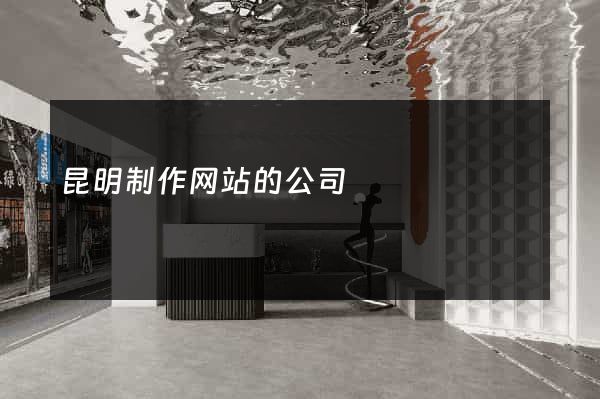 昆明制作网站的公司