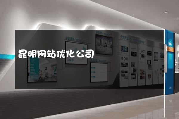 昆明网站优化公司