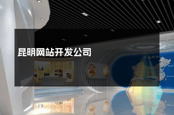 昆明网站开发公司