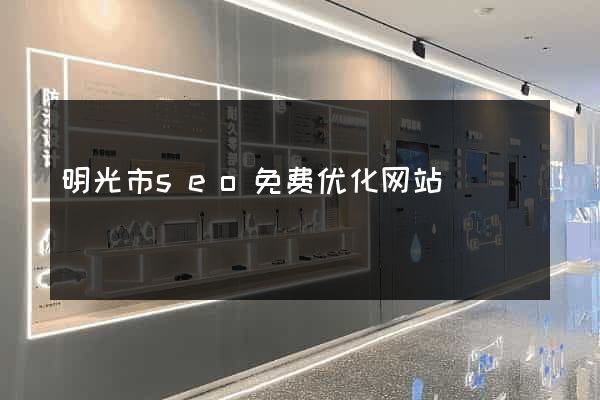 明光市seo免费优化网站