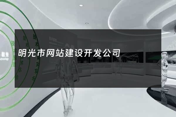 明光市网站建设开发公司