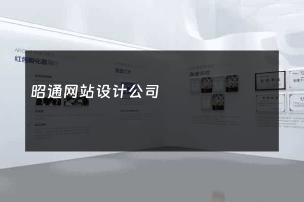 昭通网站设计公司