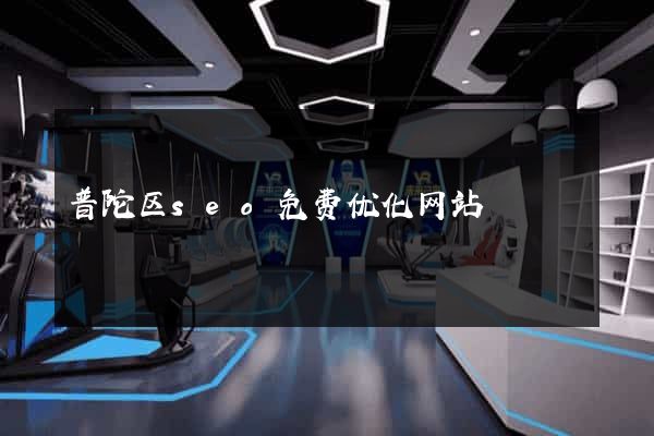 普陀区seo免费优化网站