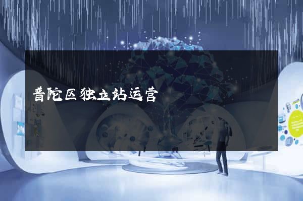 普陀区独立站运营