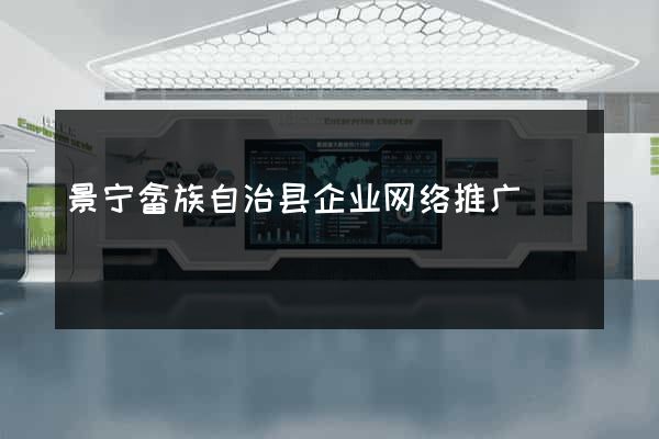 景宁畲族自治县企业网络推广