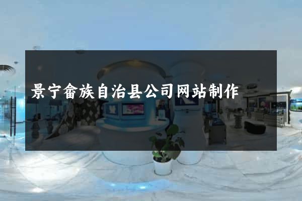 景宁畲族自治县公司网站制作
