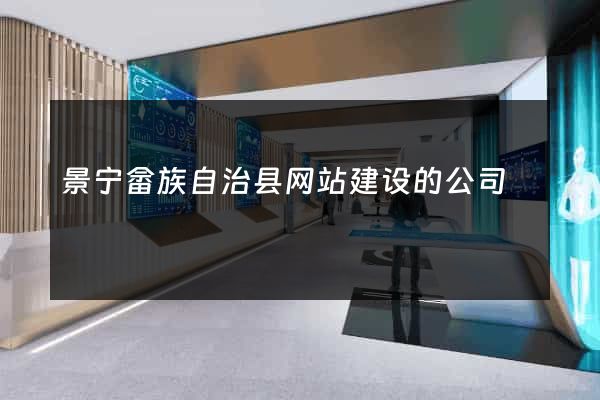 景宁畲族自治县网站建设的公司